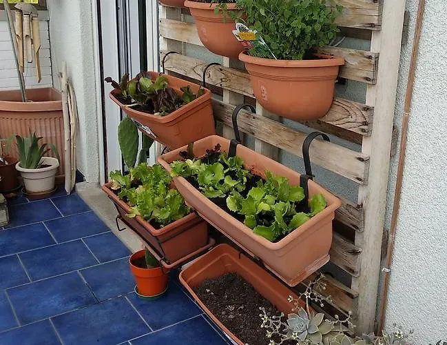 فندق مبيت وإفطار Charme&chic 4*